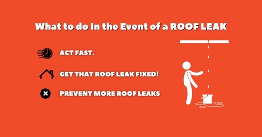 What to do in the event of a Roof Leak Graphic