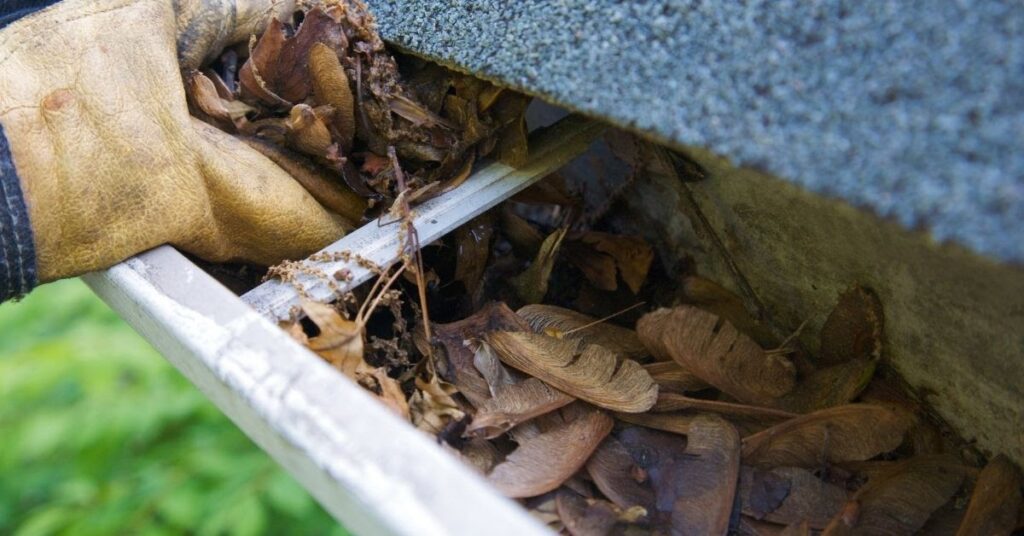 Spring Home Maintenance: Gutters